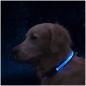 Preview: Dog Signal Collar Warning | EYENIMAL USB LIGHT COLLAR